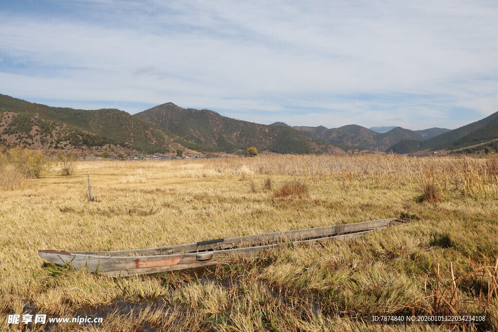 旷野中的枯木与远山景色