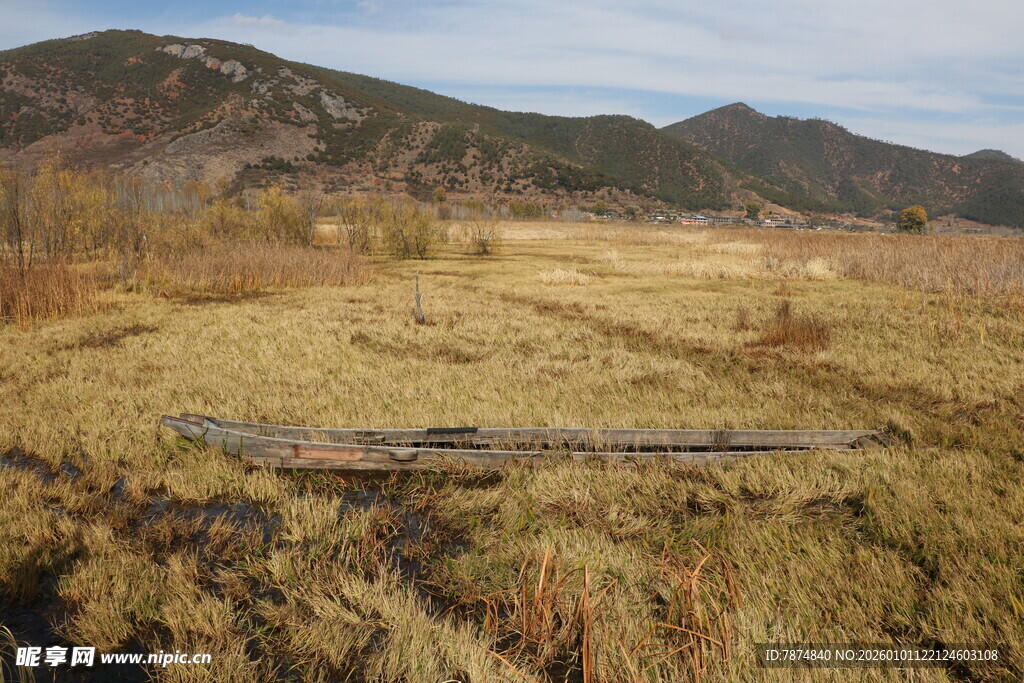 秋日旷野中的荒芜景象