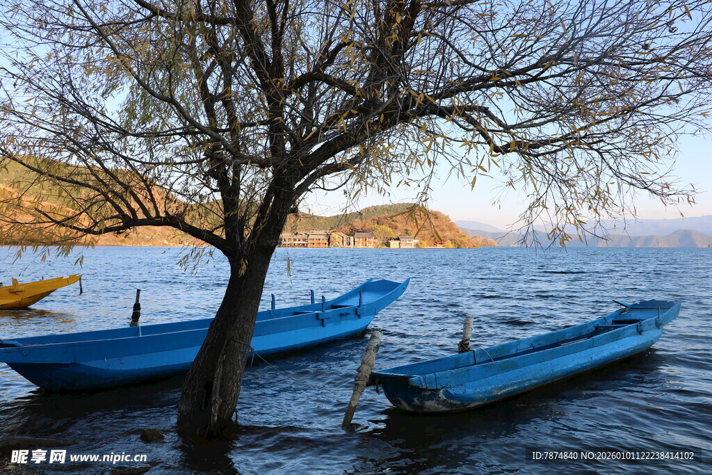湖畔孤树旁的蓝色小船