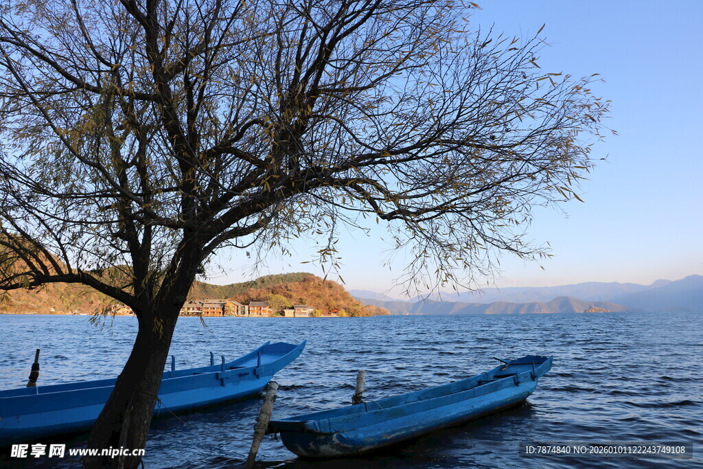 湖畔孤树旁的蓝色小船
