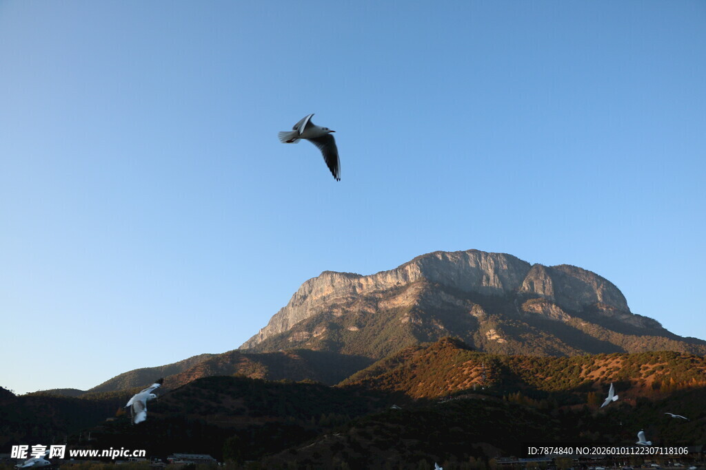 飞鸟掠山景