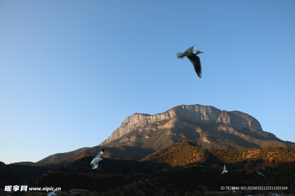 飞鸟掠山景