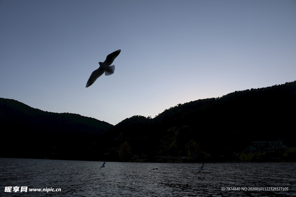 飞鸟掠湖 暮色山景