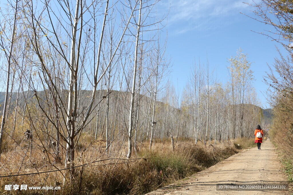 徒步者穿行于荒野小道