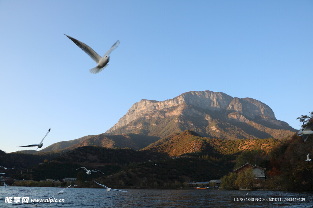山巅飞鸟 自然美景如画