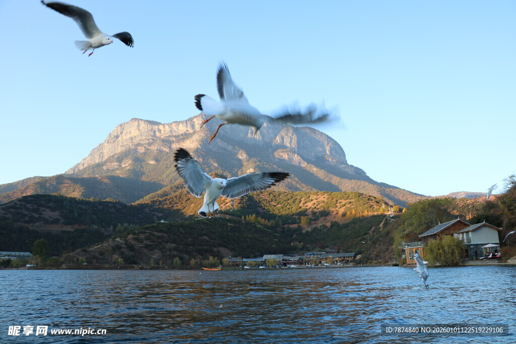 湖畔飞鸟与远山美景