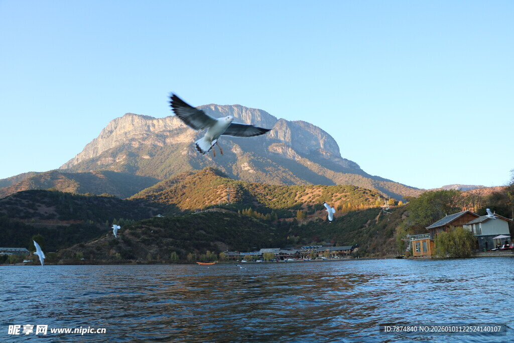 湖畔飞鸟伴远山美景