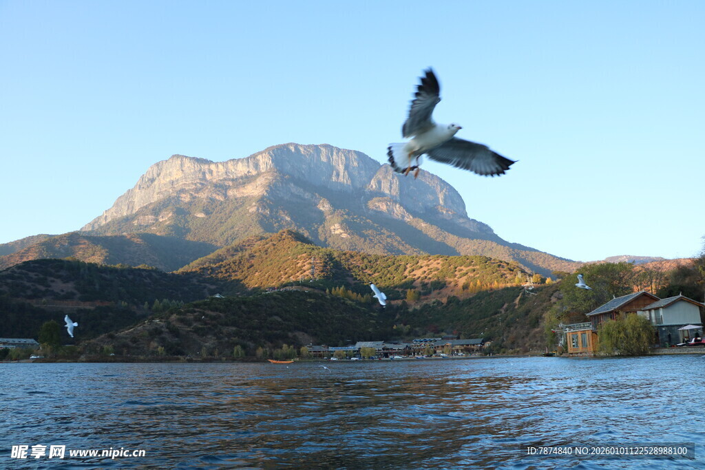 飞鸟掠湖伴远山壮丽景