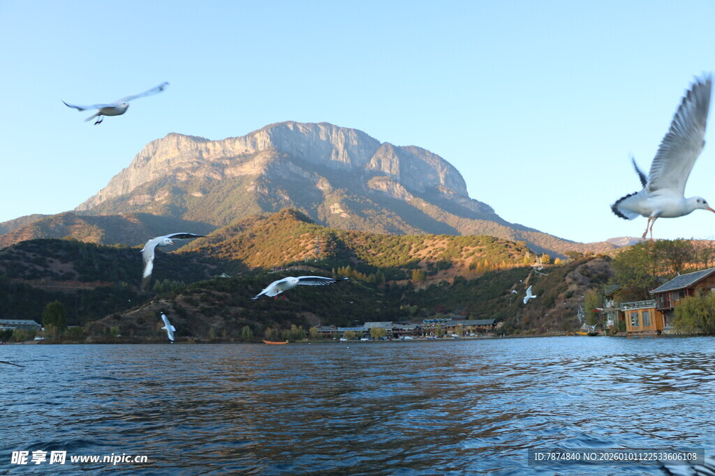 湖畔飞鸟伴远山美景