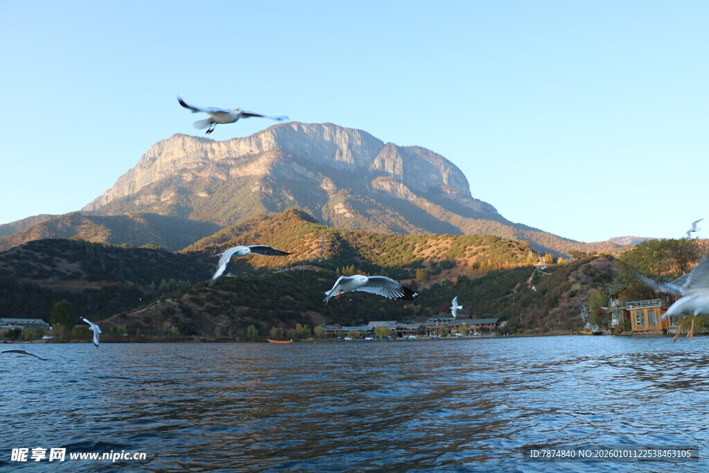 湖畔飞鸟伴远山美景
