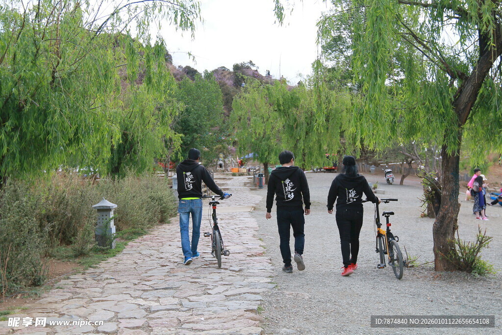 春日小路骑行漫步场景
