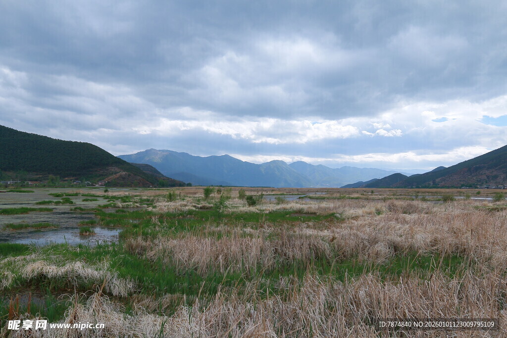 草原湿地与远方山峦风景
