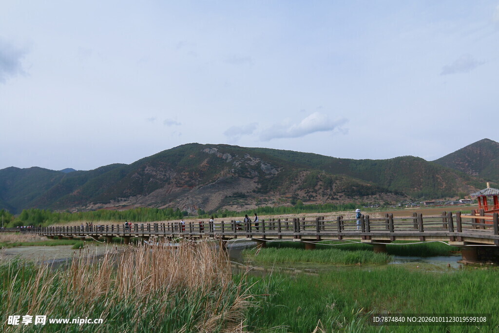 山间木桥旁的自然景致