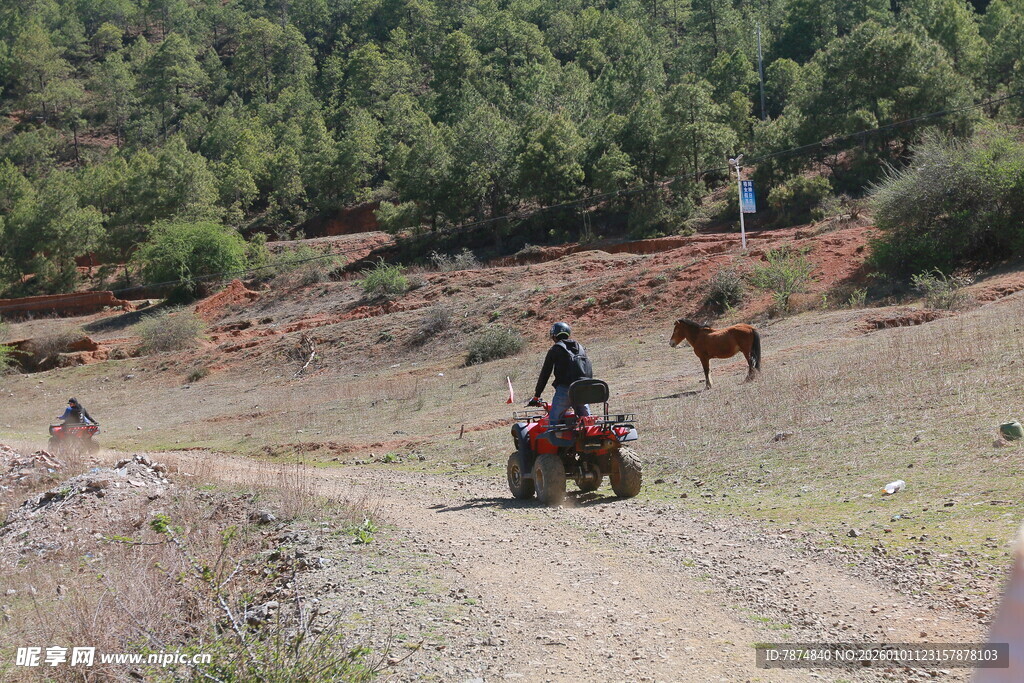 野外骑四轮车与马的场景