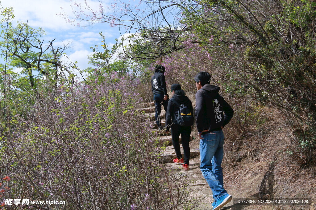 山间徒步的人群
