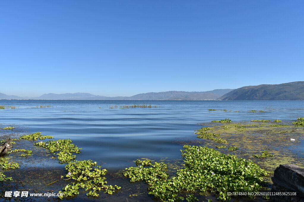 湖畔风光 绿意点缀碧水