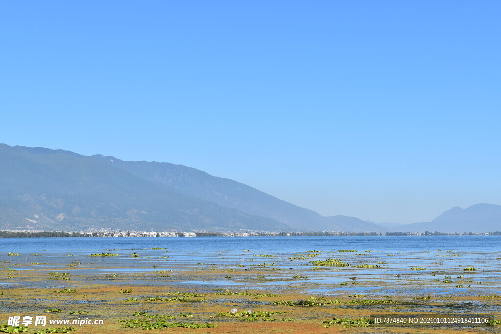 湖畔湿地风光 远山近景