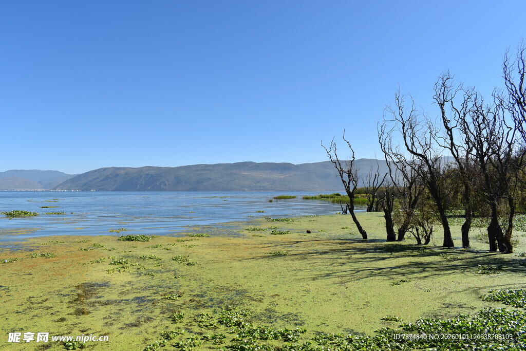 湖畔荒滩景色
