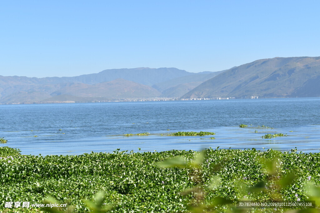 湖畔绿植与远山美景