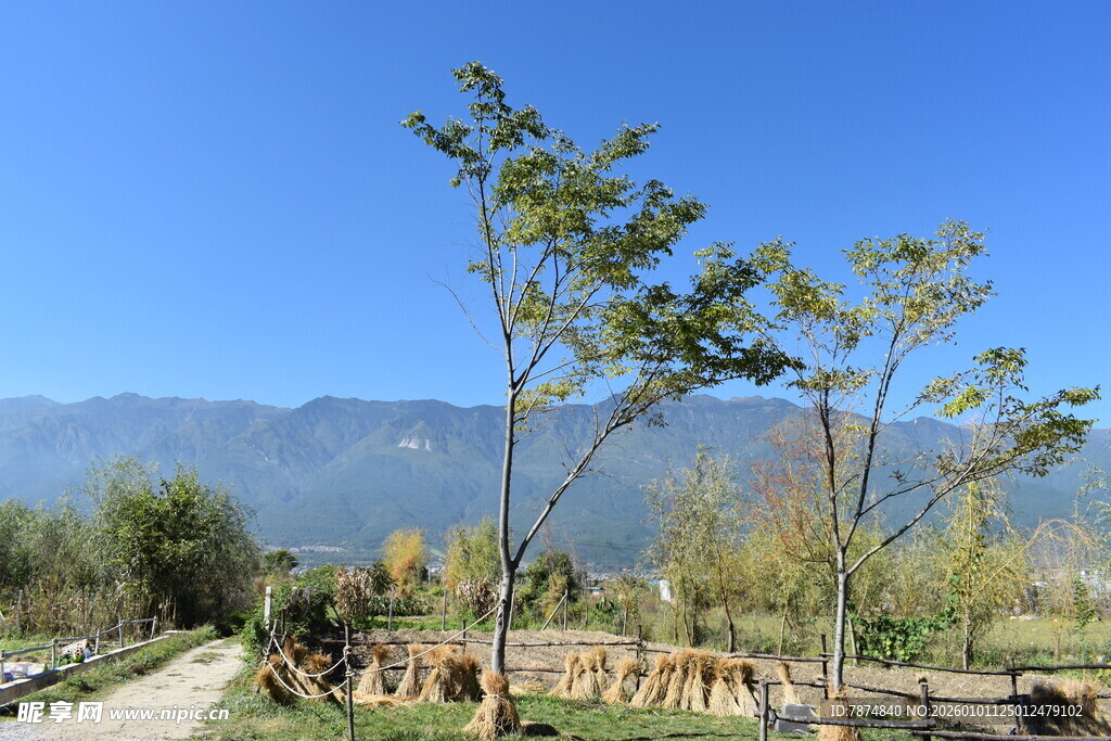 乡村田园风光美景