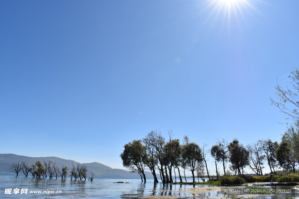 湖畔阳光树影风景如画