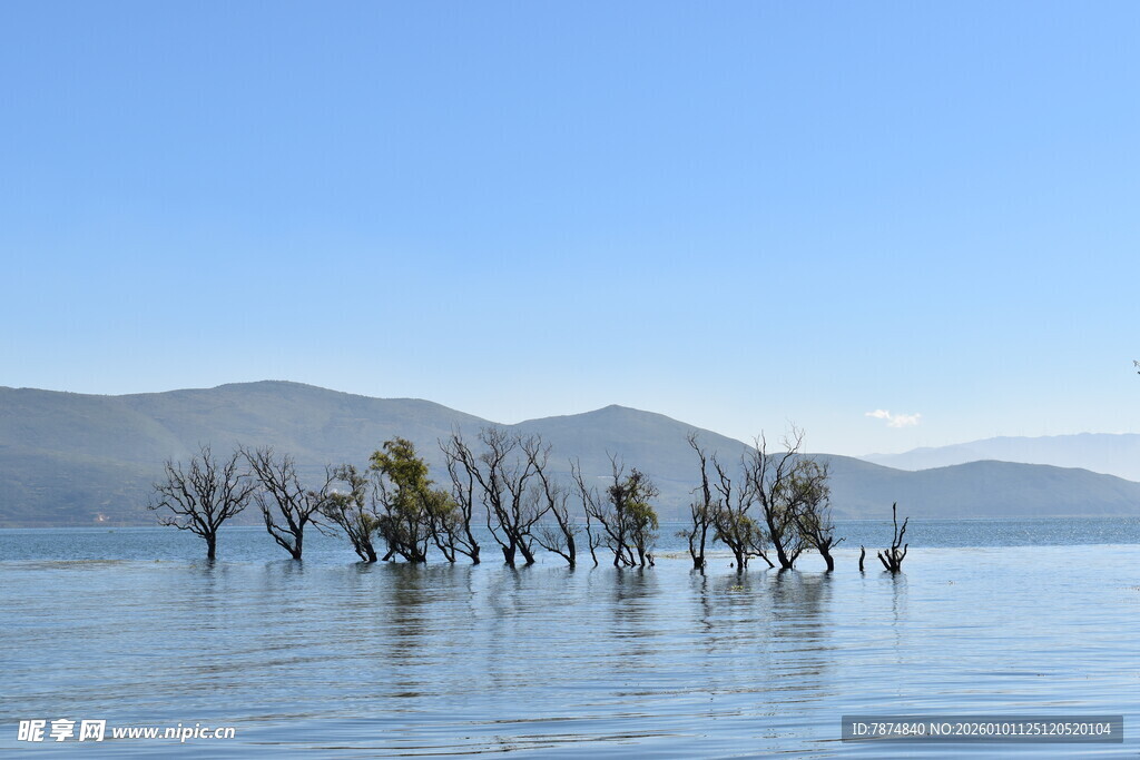 水中枯树与远山美景