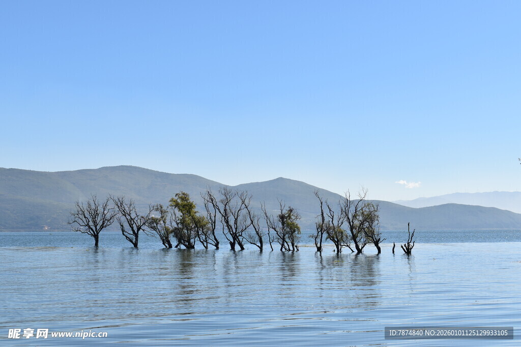 水中枯树与远山美景