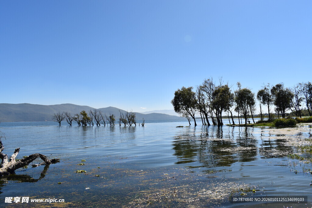 湖畔水畔树木倒影风景图