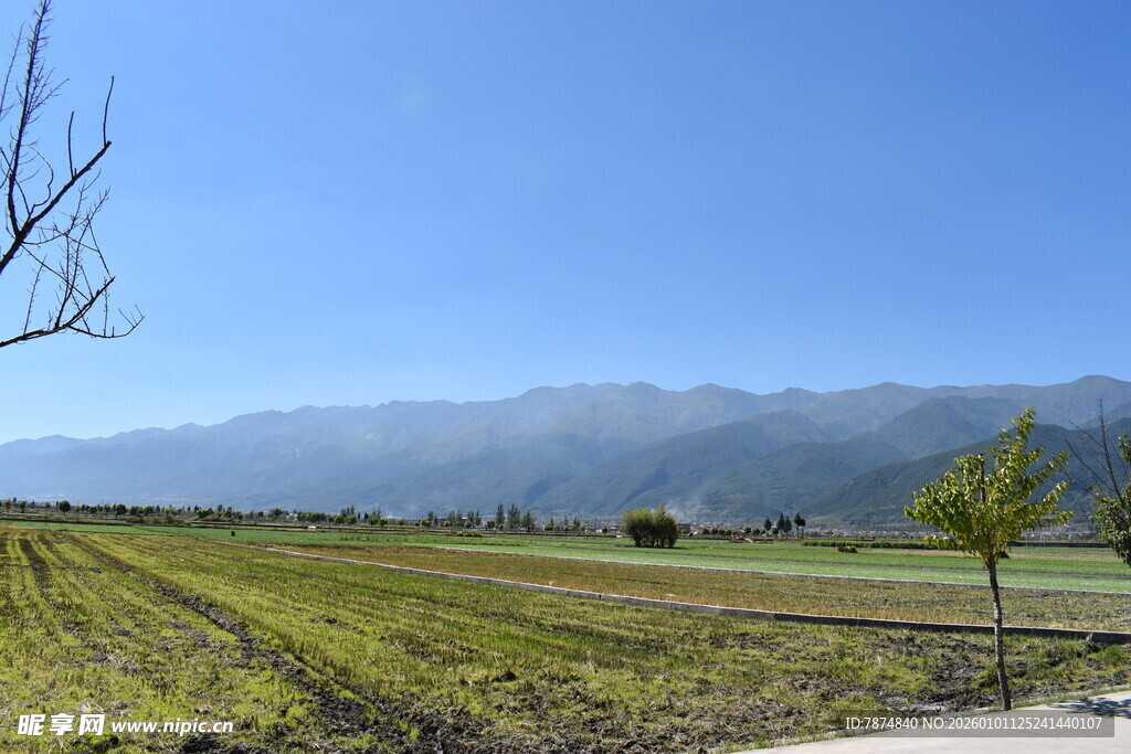 田园风光 远山近景绿意浓
