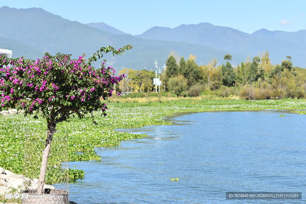 河畔繁花绿树山水美景