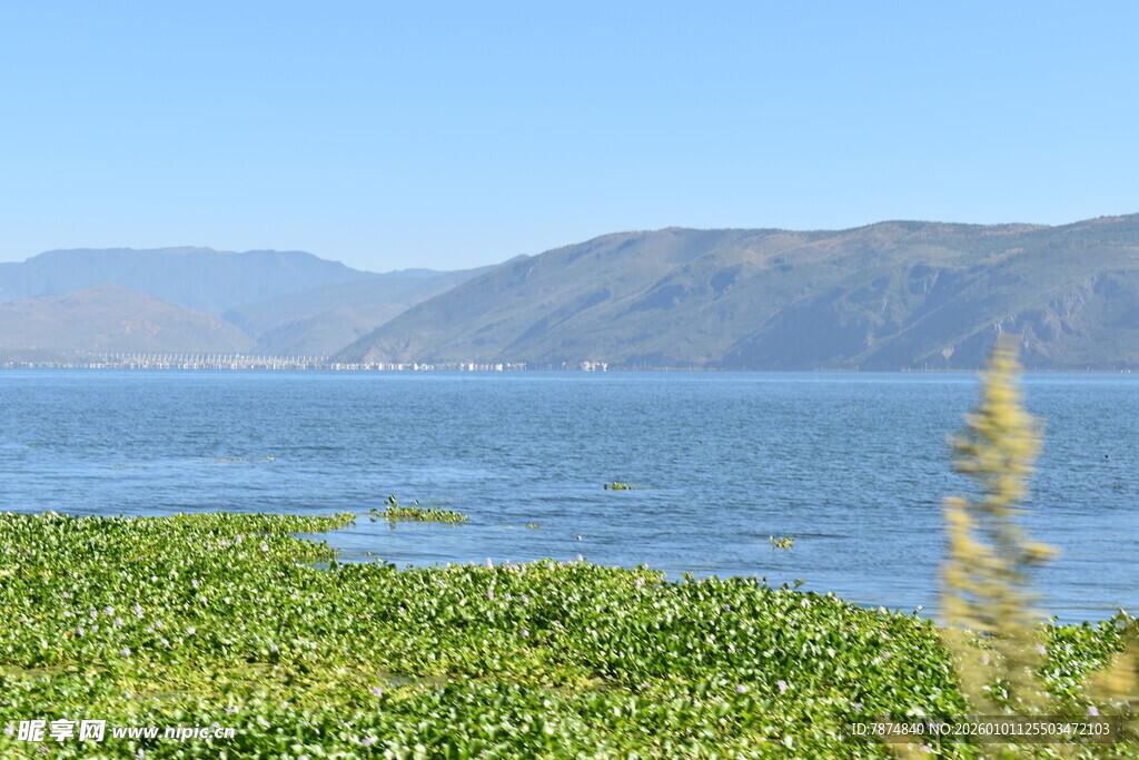 湖畔绿植与远山美景