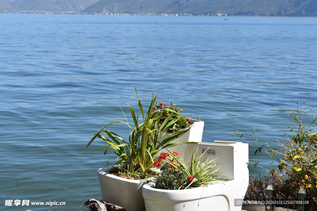 湖畔花箱景致