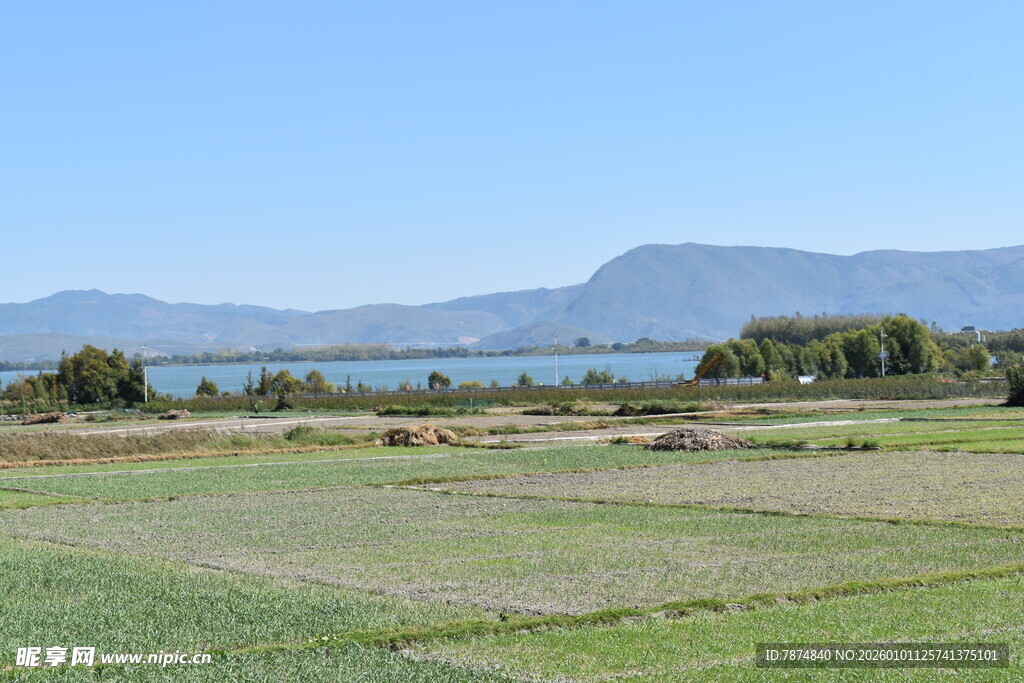 田园湖畔风光如画