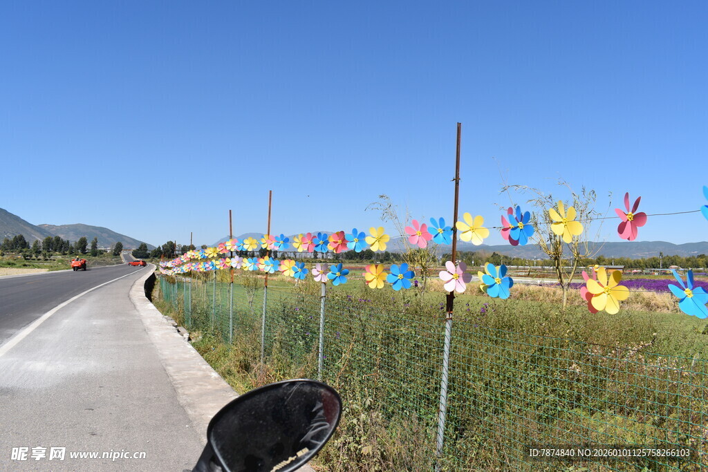 路边多彩风车装饰风景线