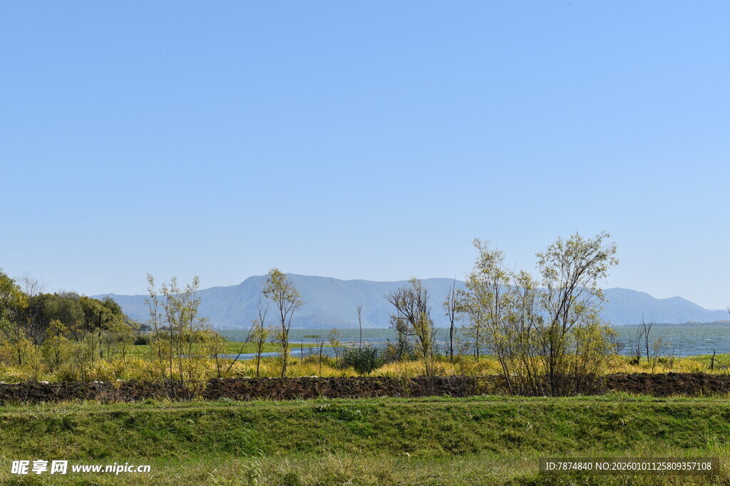 田园风光 远山近树美景