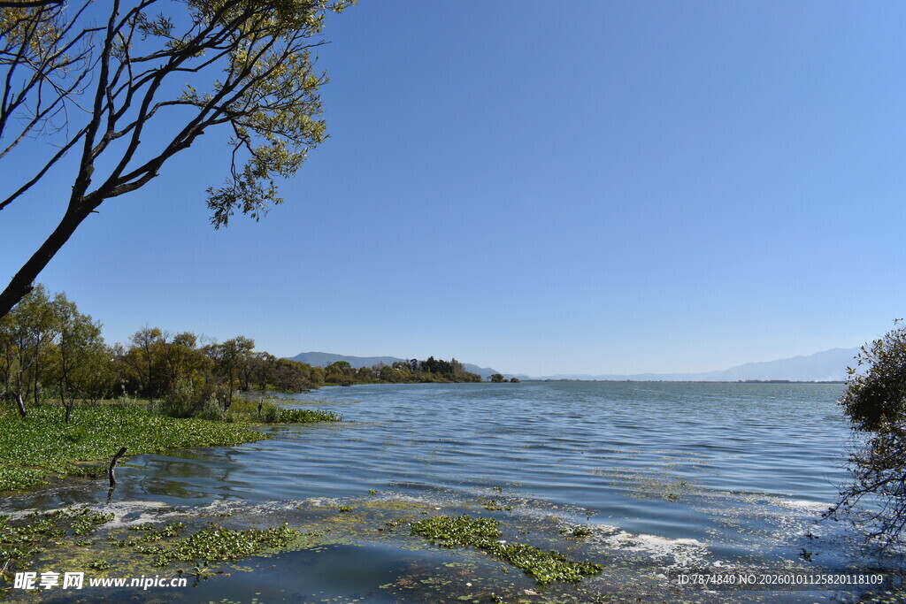 湖畔风光 水波绿树蓝天