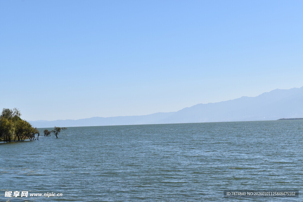 广阔水域与岸边植被景观