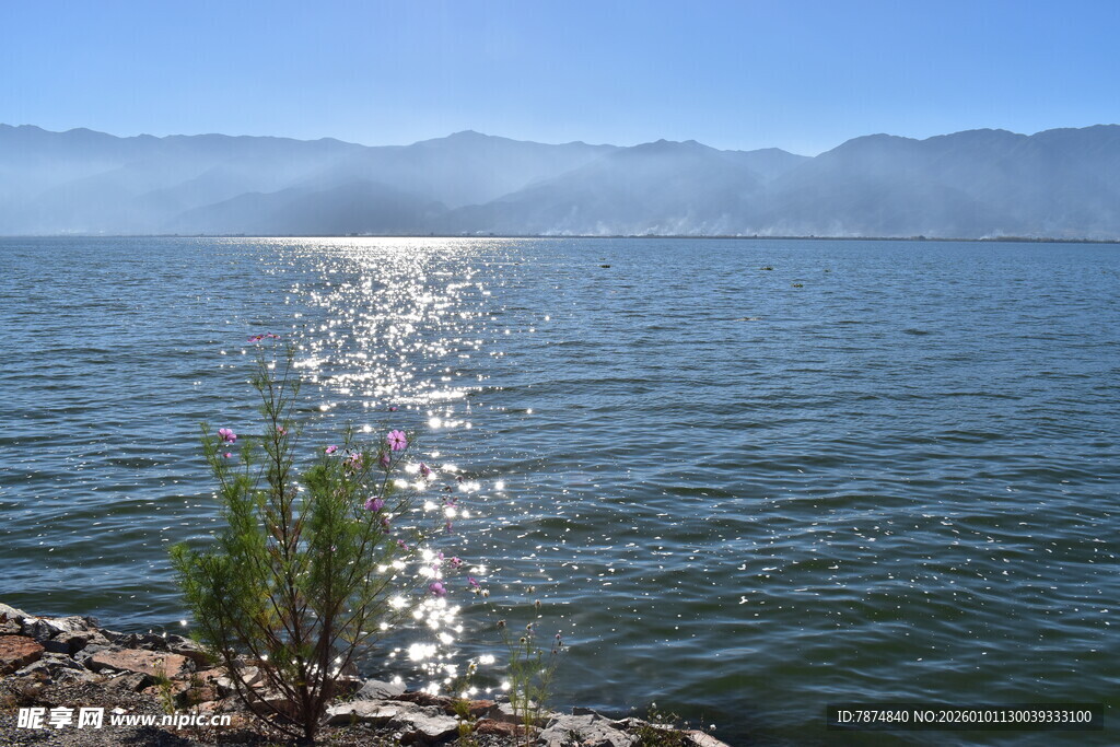 湖畔晨光 波光粼粼的美景