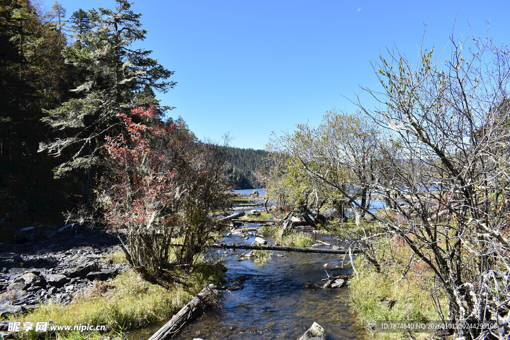 山间溪流畔的秋日景致