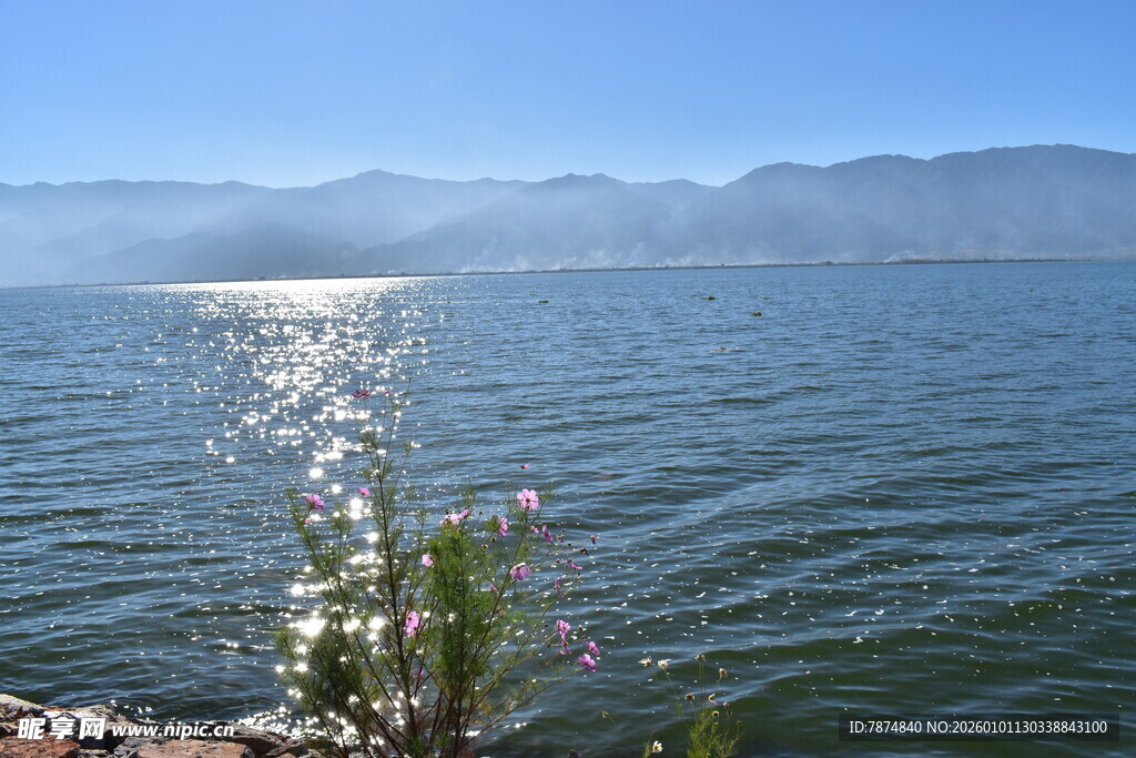 湖畔小花绽于波光山水间