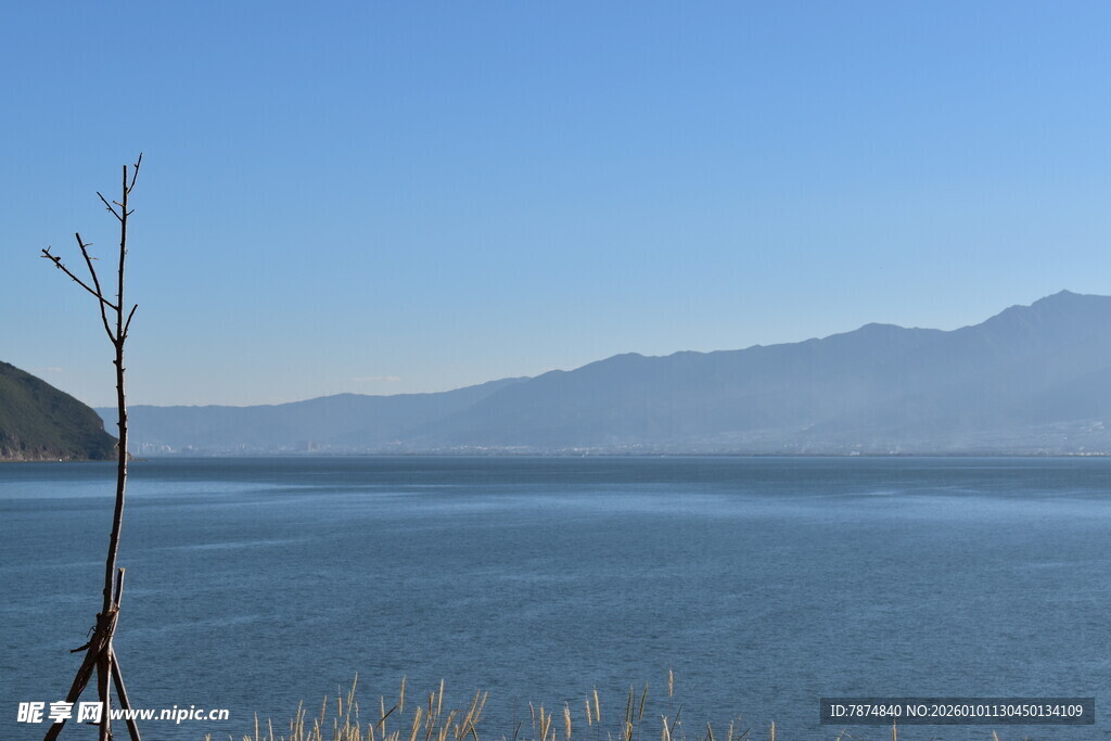 湖畔孤枝 远山碧水蓝天