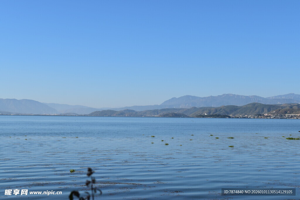 湖畔戏水的惬意时光