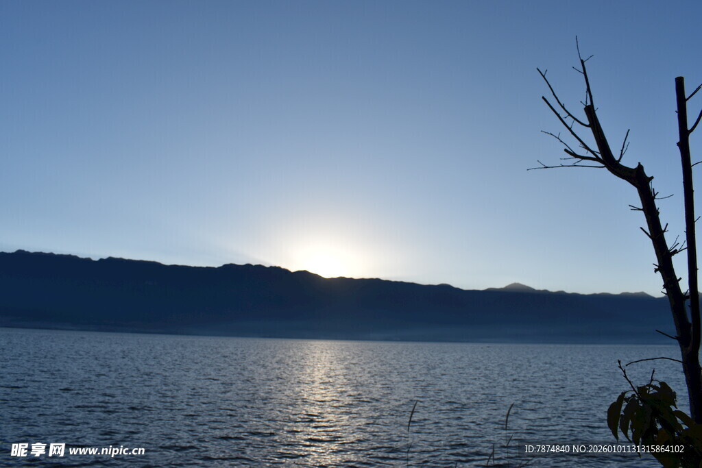 湖畔日出 枯树映波光