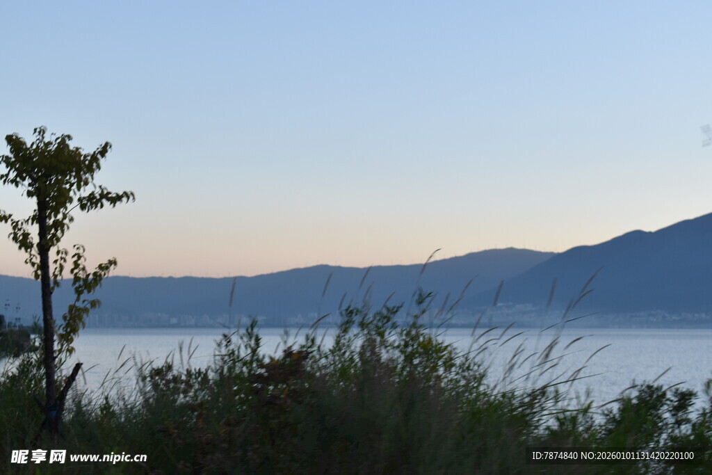 湖畔黄昏景 孤树映远山