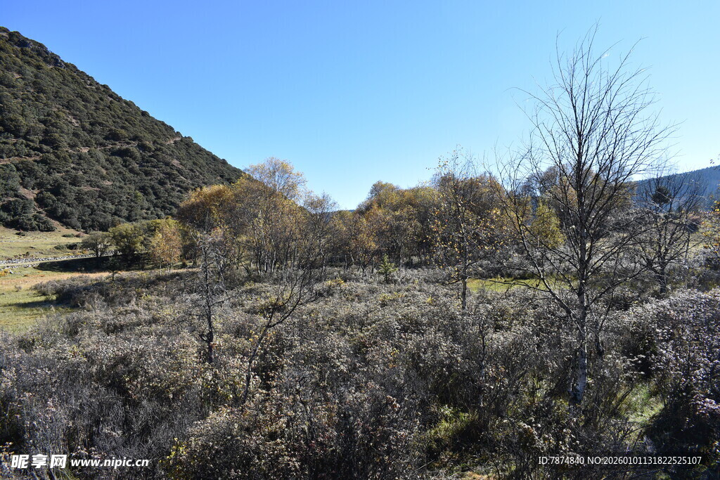 秋日山野风光景色