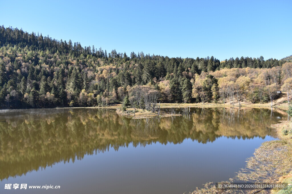 宁静湖畔山林美景
