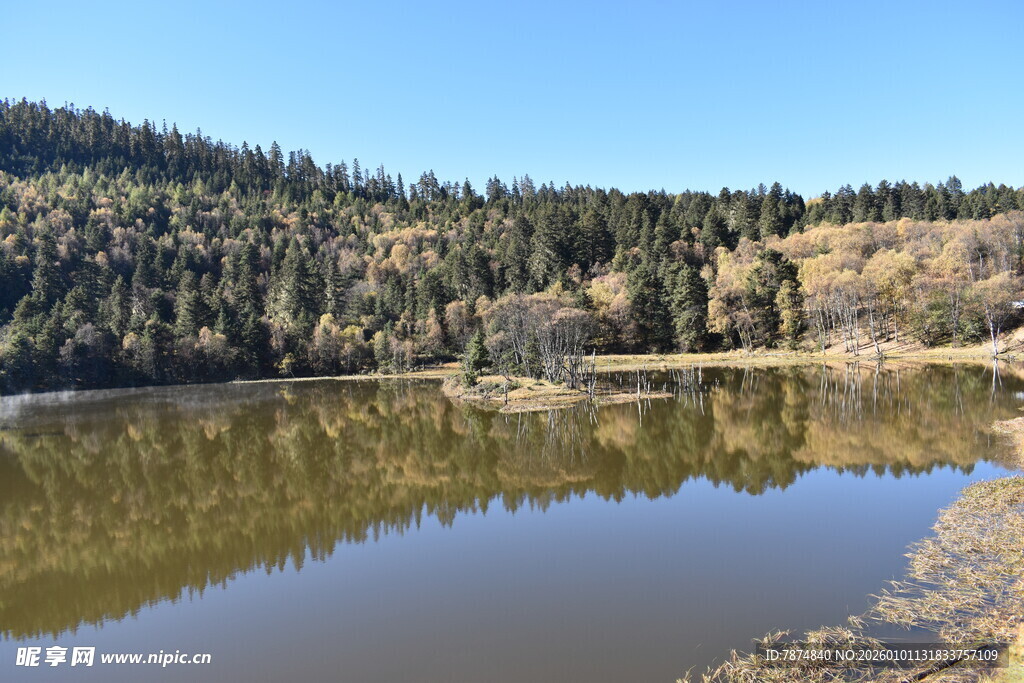 宁静山林中的清澈湖泊