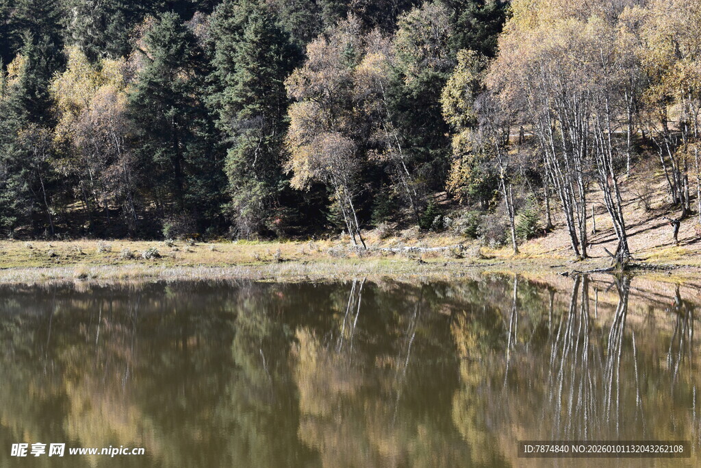 秋日静谧湖畔森林倒影