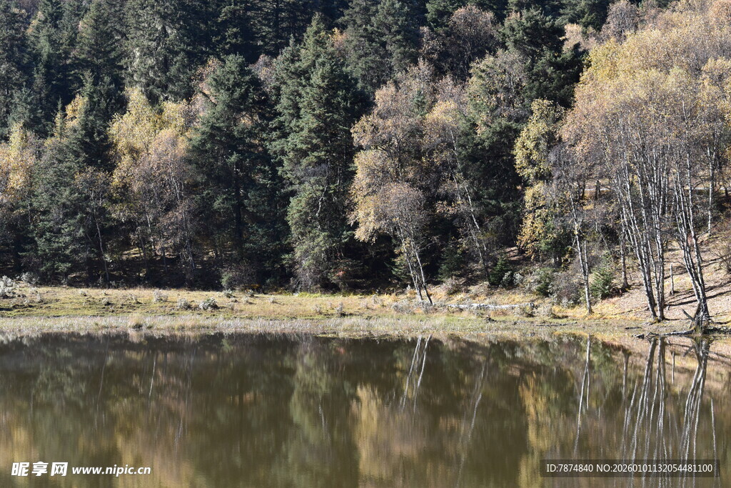 山林湖畔静谧风光