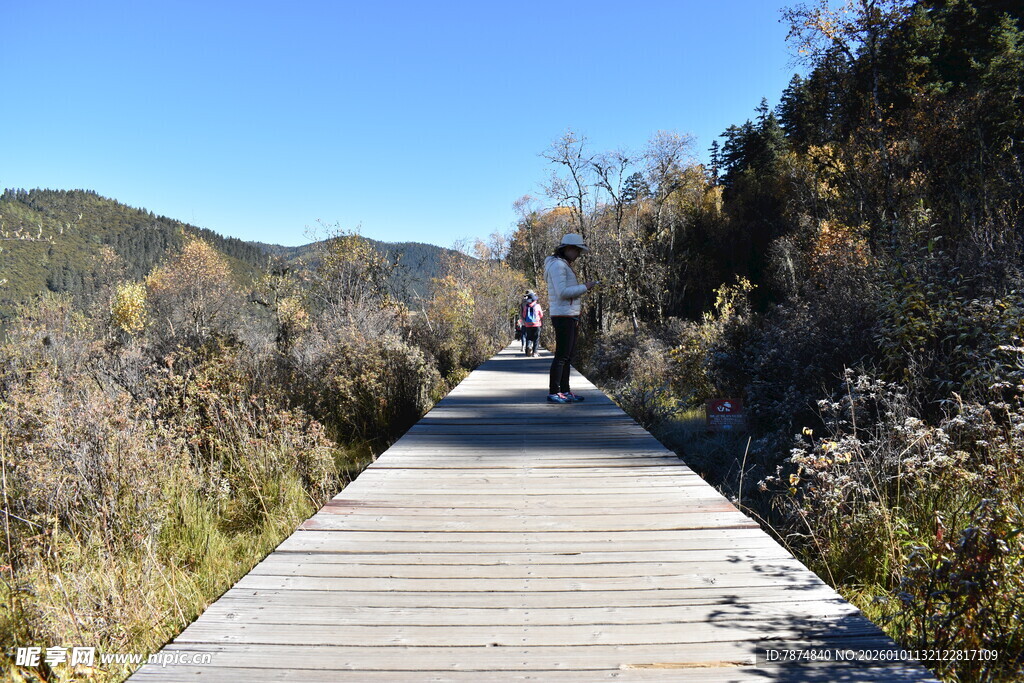 漫步木栈道赏秋日风光